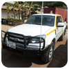 Light vehicle